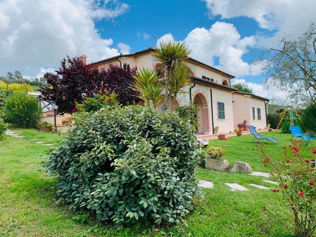 8380 Agriturismo L'Oleandro Montemerano Exterior photo