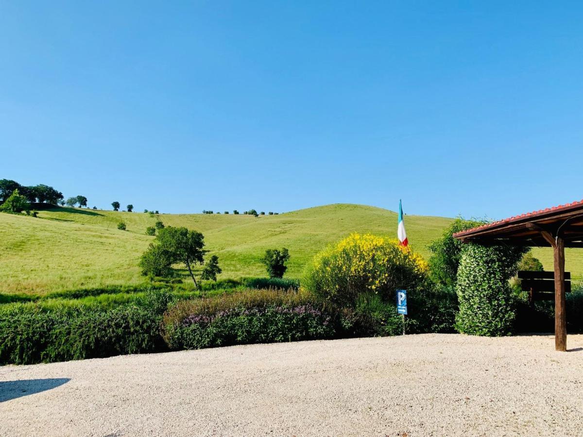 8380 Agriturismo L'Oleandro Montemerano Exterior photo
